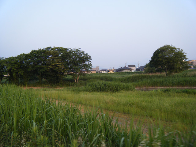 b0088444_20484126.jpg