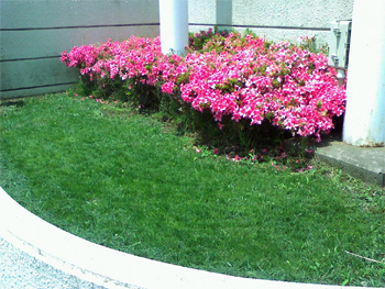 c0090147_7582958.jpg