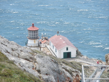 d0118552_31814.jpg