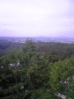 d0109356_83527.jpg