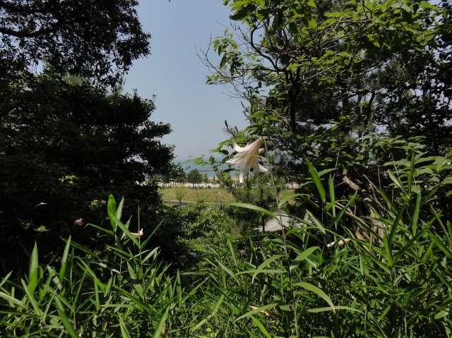 c0108460_14594313.jpg