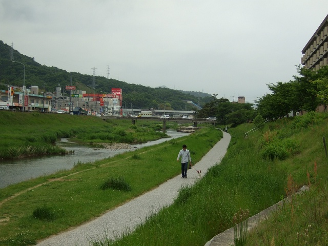 b0095061_1012335.jpg