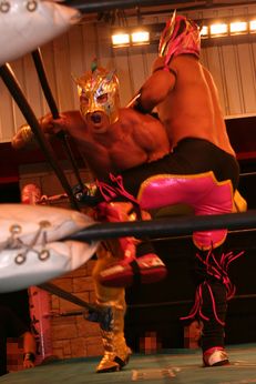 2010・06・06　大阪プロレス選手権試合　その２_a0042864_8355730.jpg