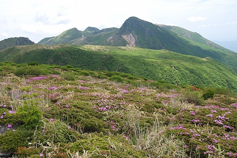 d0019169_1240791.jpg