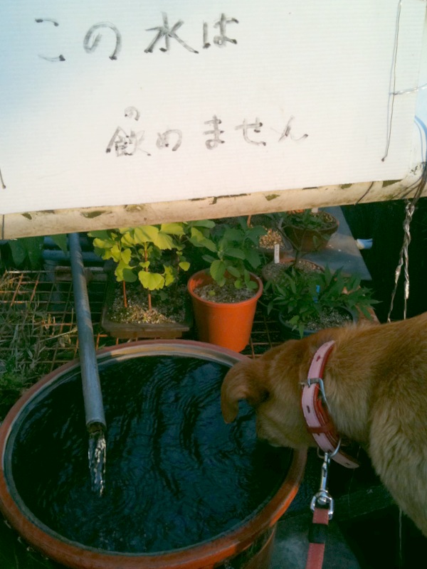 今日は普通な日_e0158970_22402867.jpg