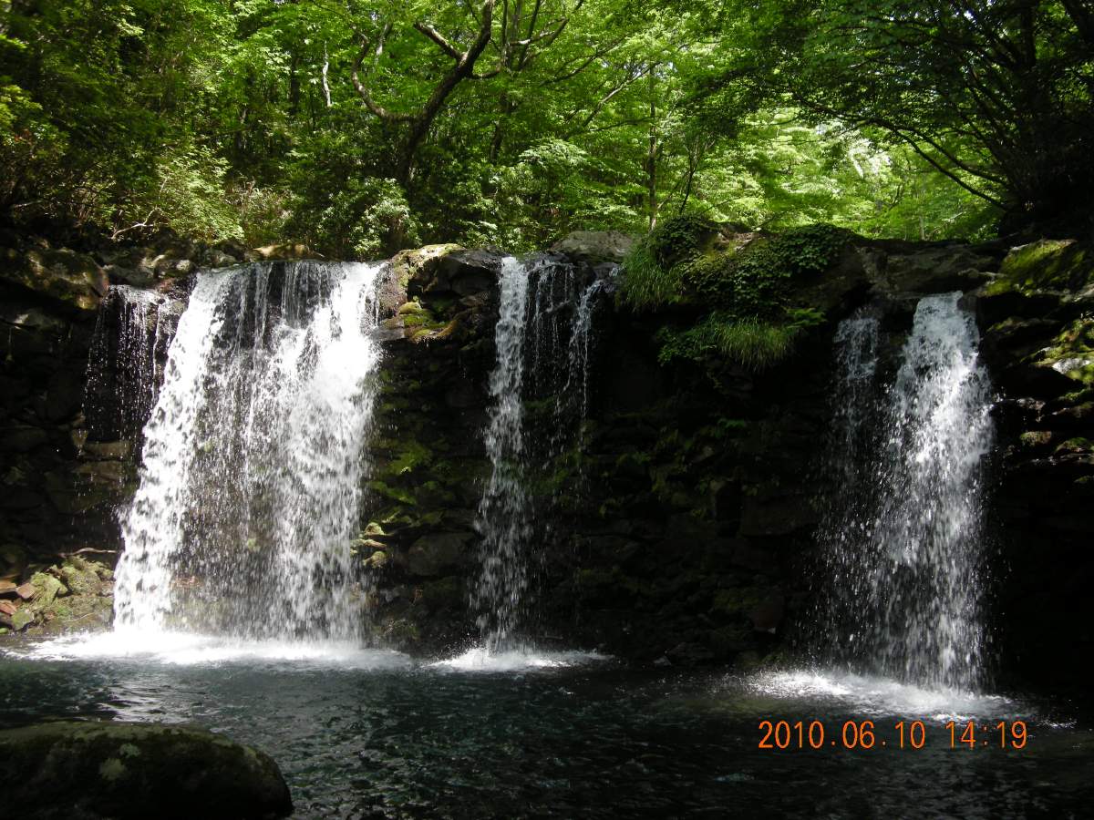 b0056282_14389.jpg