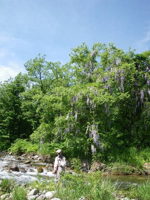 ごめん!!とりあえず写真数枚ピックアップ。。。_e0111484_19114146.jpg