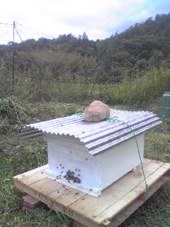 仲間入り_a0138985_10363378.jpg