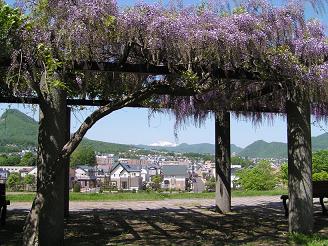 藤が丘公園から_f0078286_91528.jpg