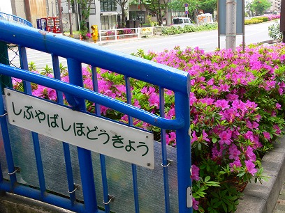 c0153302_12345123.jpg