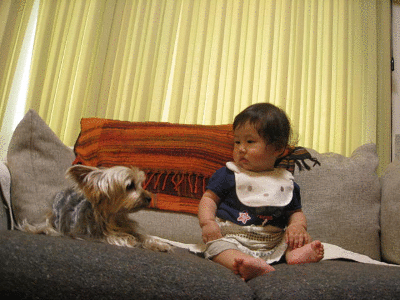 c0222805_421757.gif