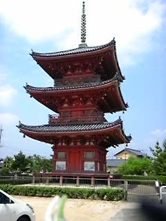a0048609_1040286.jpg