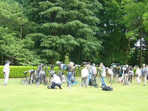 初夏の神代植物園(前編)_b0112909_20543882.jpg