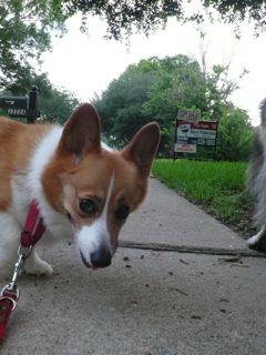 f0227709_26672.jpg