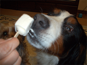 c0143711_2119342.gif