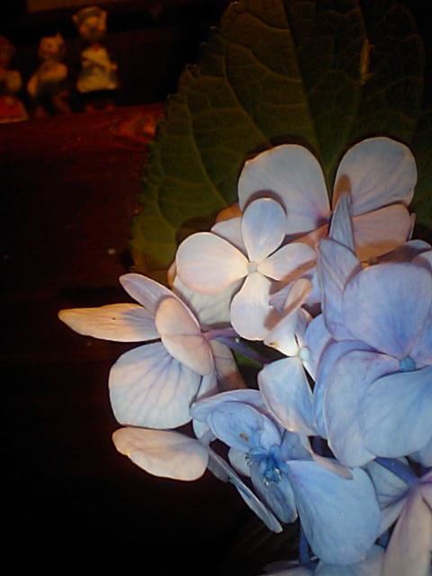 d0088611_23594961.jpg