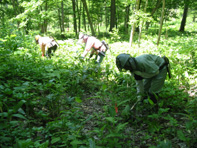 c0173813_16254369.jpg