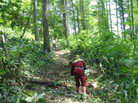 c0173813_16273973.jpg