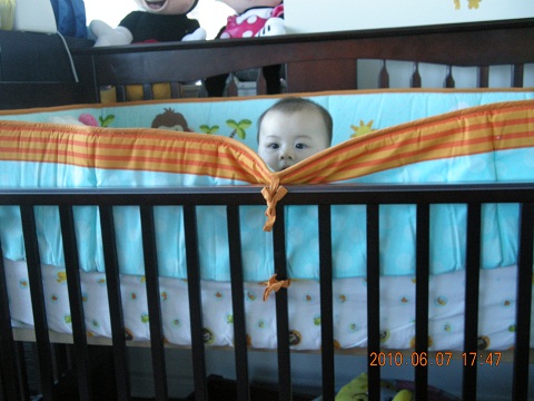 c0192813_154387.jpg
