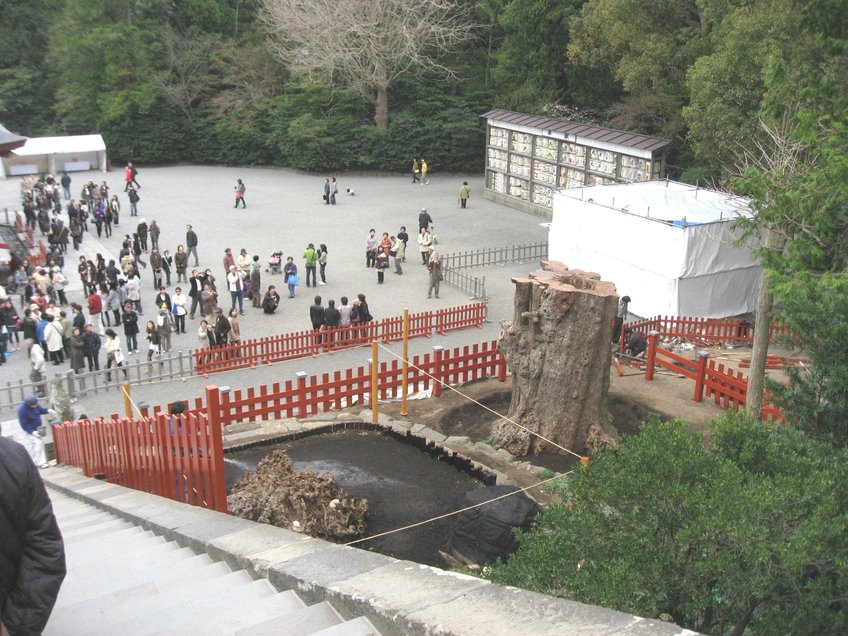 神奈川／鶴岡八幡宮（つるがおかはちまんぐう）_a0165914_2120858.jpg