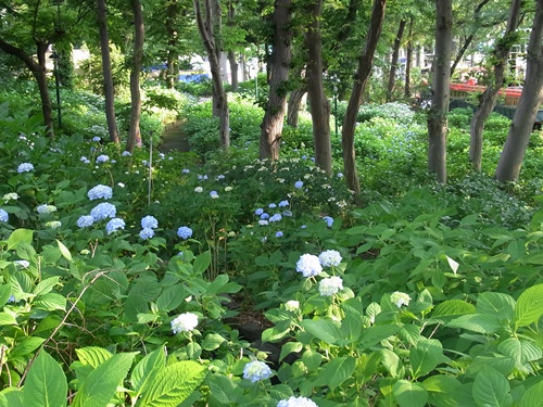 c0223117_10362365.jpg
