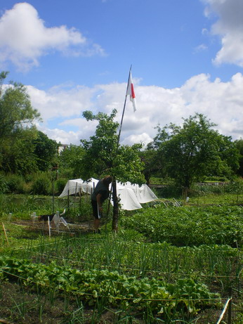 c0124619_2382853.jpg