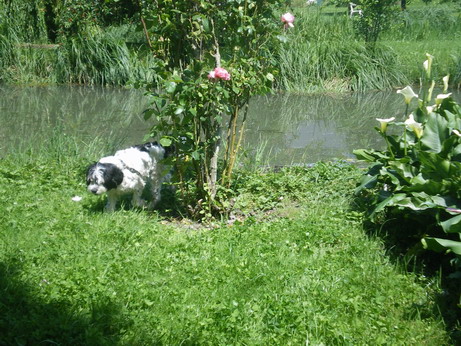c0124619_5115147.jpg