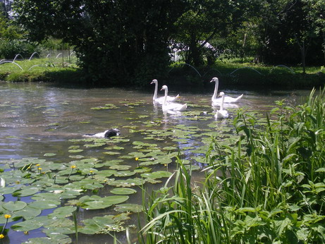 c0124619_5144866.jpg