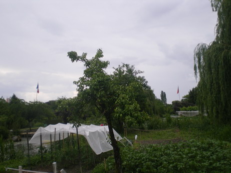 c0124619_5191417.jpg