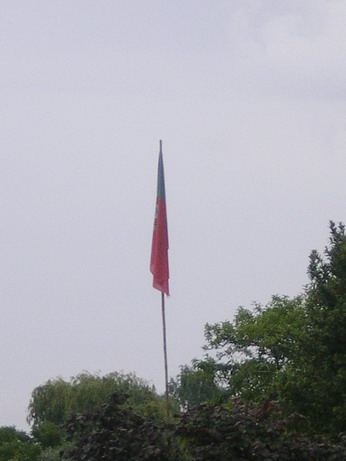 c0124619_5222996.jpg