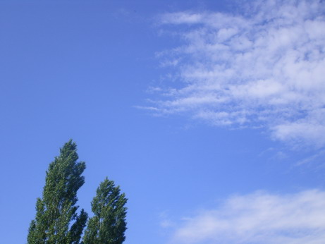 c0124619_55190.jpg