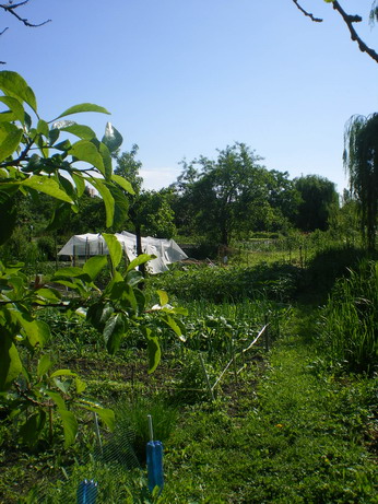 c0124619_582352.jpg