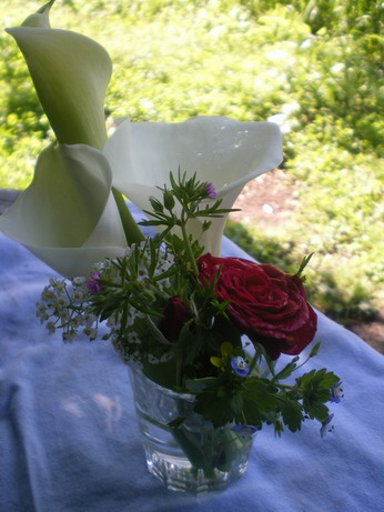 c0124619_592596.jpg
