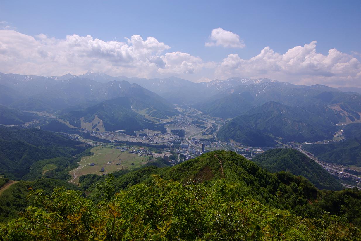 新緑の飯士山_b0062024_720989.jpg