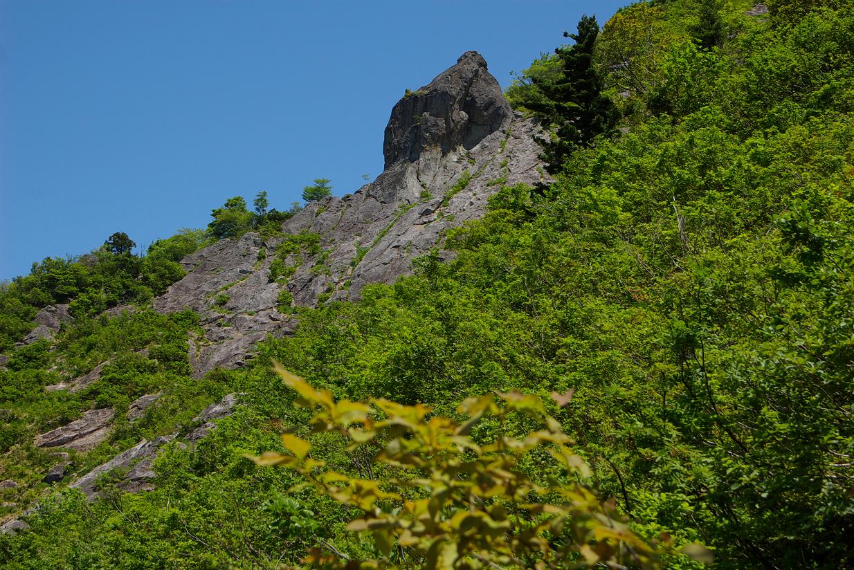 新緑の飯士山_b0062024_7445114.jpg