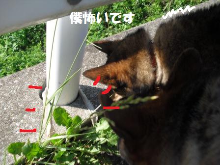 GCT撃沈っす_a0126743_0423668.jpg