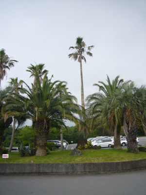 e0100046_2358079.jpg