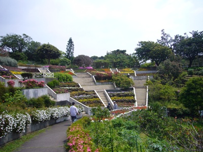 e0100046_23595415.jpg