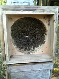 c0149056_2140565.jpg