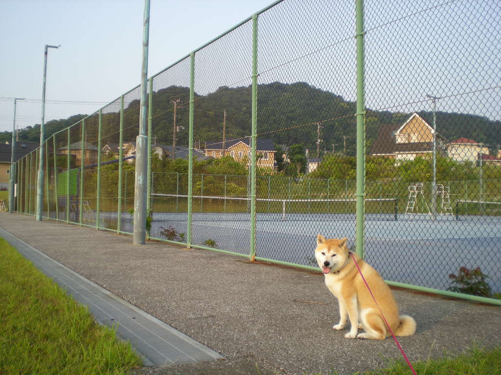 2010年6月12日(土)愛ちゃんのヘソ天!_f0060461_7424576.jpg