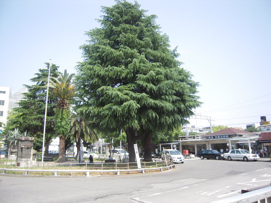 グランス珈琲館 武庫之荘店　　カフェ_d0083265_17365196.jpg