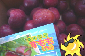 奄美からプラムが届きました_f0229268_1522571.jpg