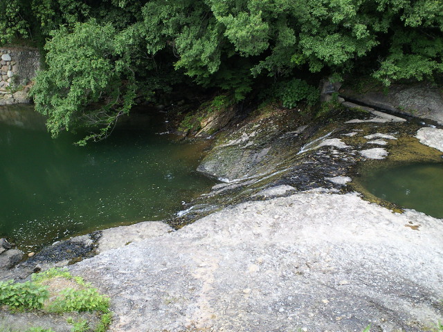 c0001670_1505719.jpg