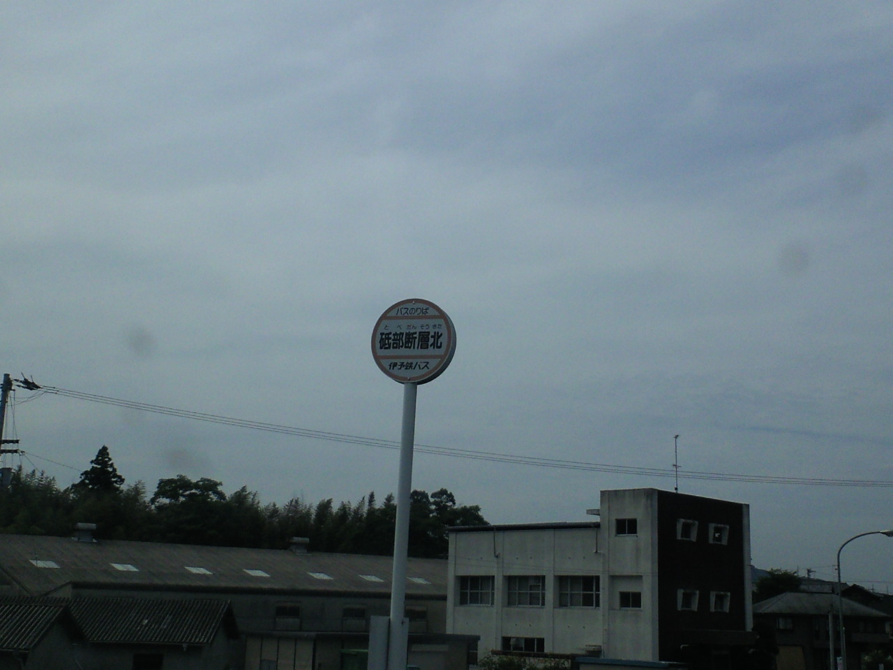 c0001670_1526549.jpg