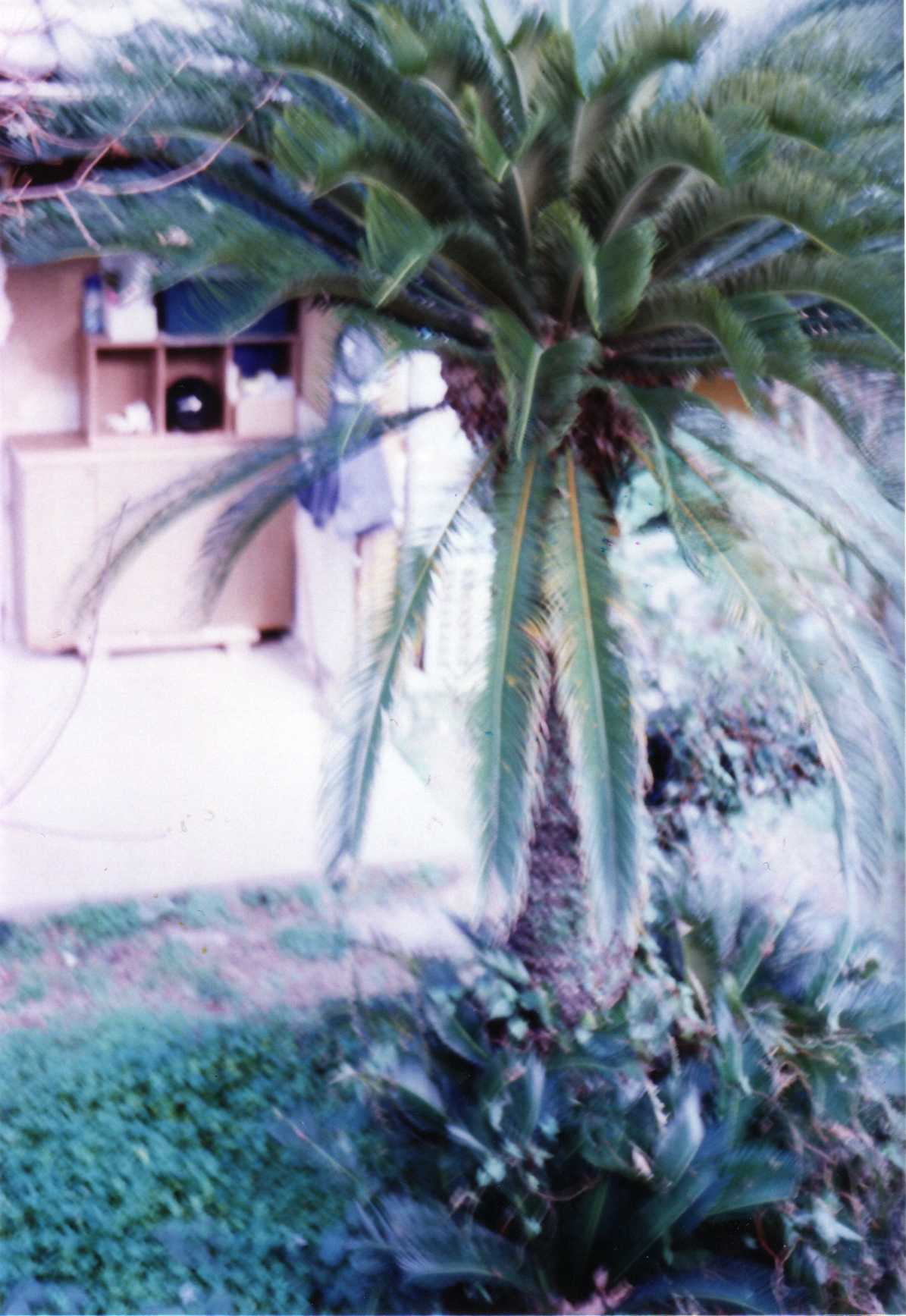 d0084677_2266.jpg