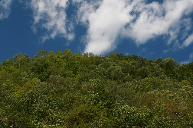 e0165983_10201290.jpg