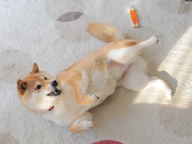 ドロロ~ンな朝_a0126590_6573941.jpg