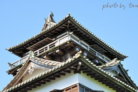 越前路～初夏の丸岡城(3)丸岡城天守、どう攻める??_b0155692_195131100.jpg