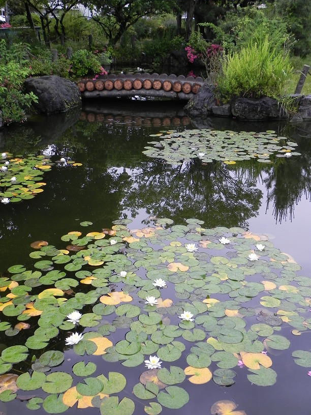 f0007197_064492.jpg