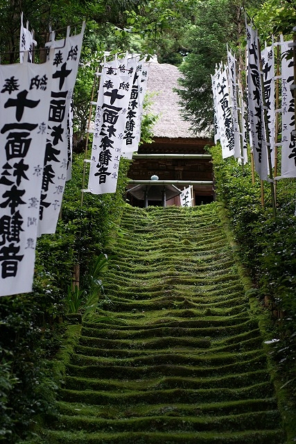 新緑の報国寺と杉本寺_b0145398_0192879.jpg